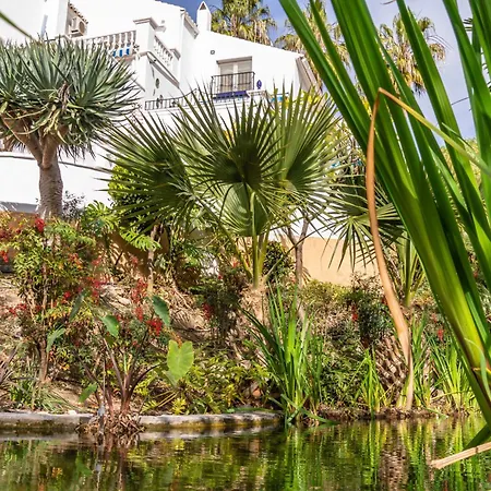 Tetuan 17 Oasis 네르하