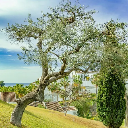 Tetuan 17 Oasis Апартаменты