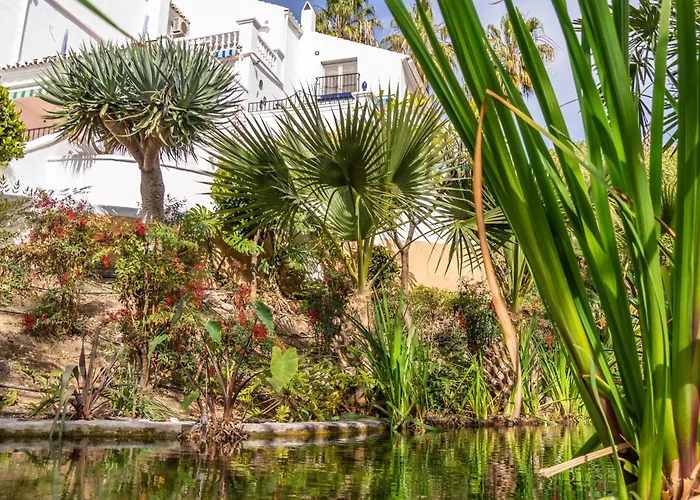 Tetuan 17 Oasis Нерха