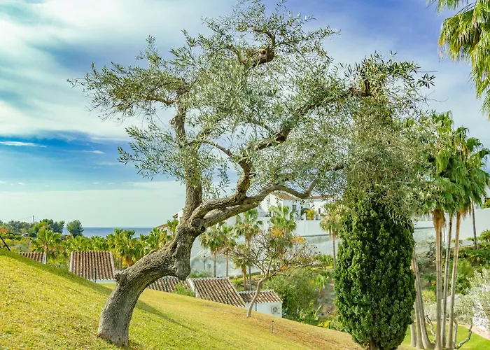 Tetuan 17 Oasis Апартаменти